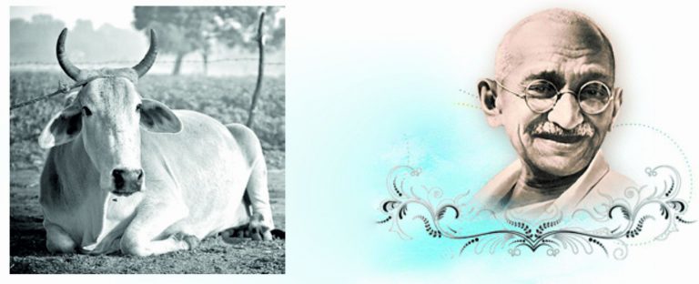 Baba-e-Qaum “Gandhiji” aur Madar-e-qaum Gaaye!, Maulana Nadeem Ahmed Ansari